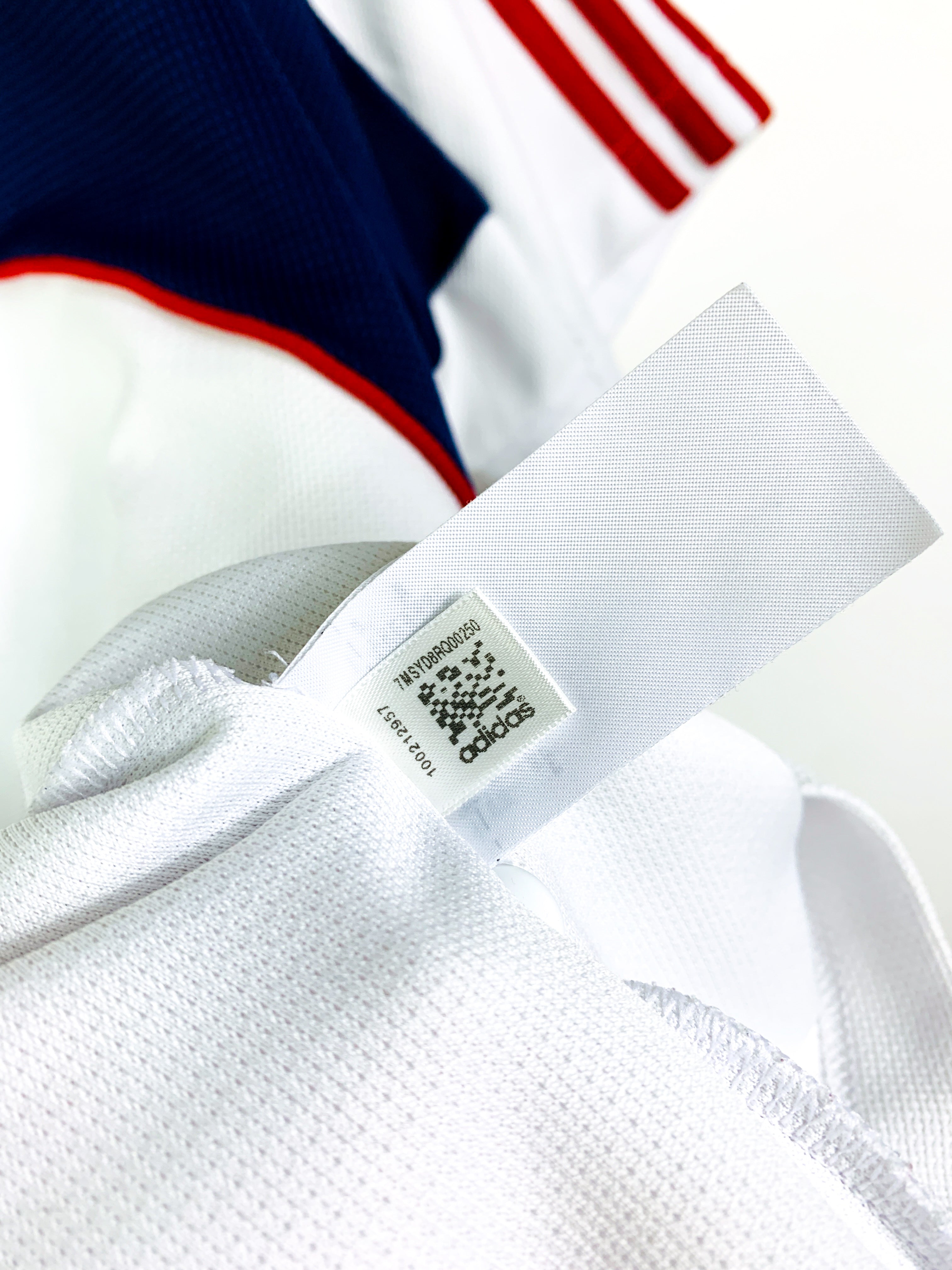 BRITISH & IRISH LIONS 2009 TRAINING RUGBY POLO SHIRT [M/L]