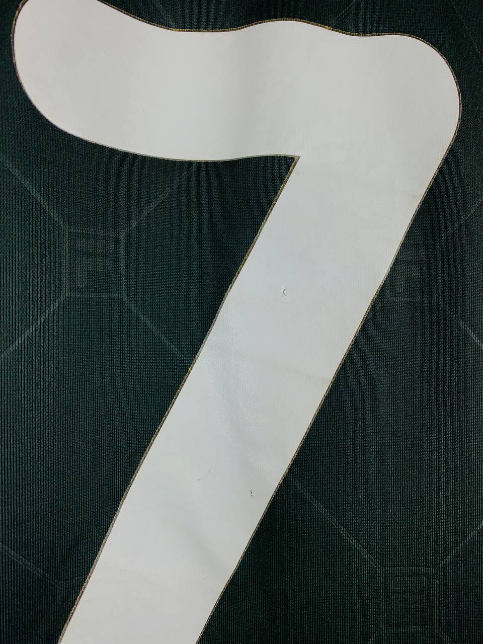BOTAFOGO 2010/2011 HOME SHIRT #7
